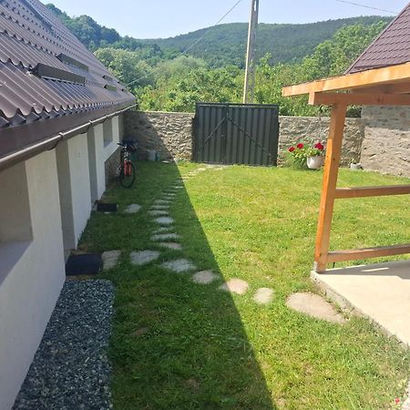 Casa Noua Villa Sasca Montana Exterior photo