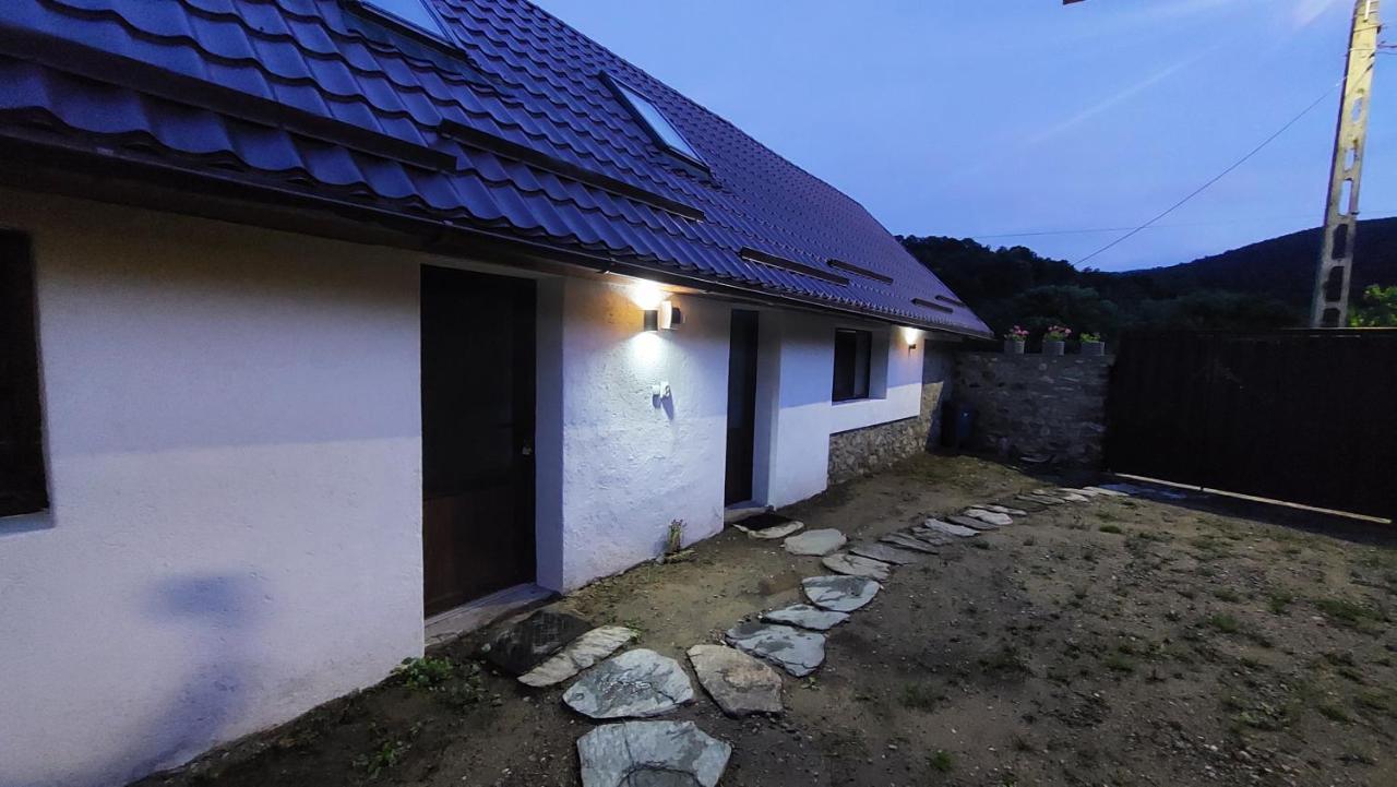 Casa Noua Villa Sasca Montana Exterior photo