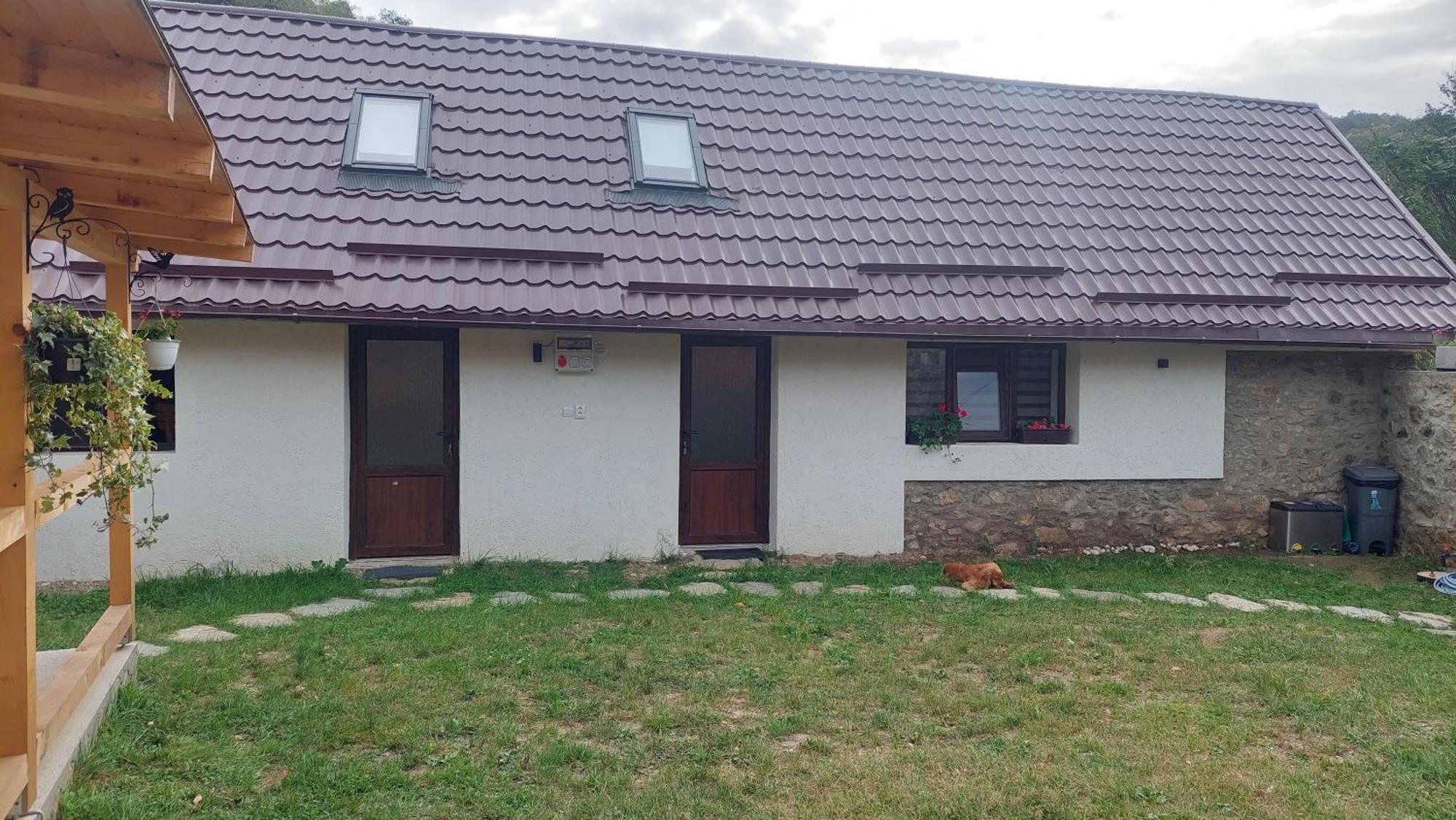 Casa Noua Villa Sasca Montana Exterior photo