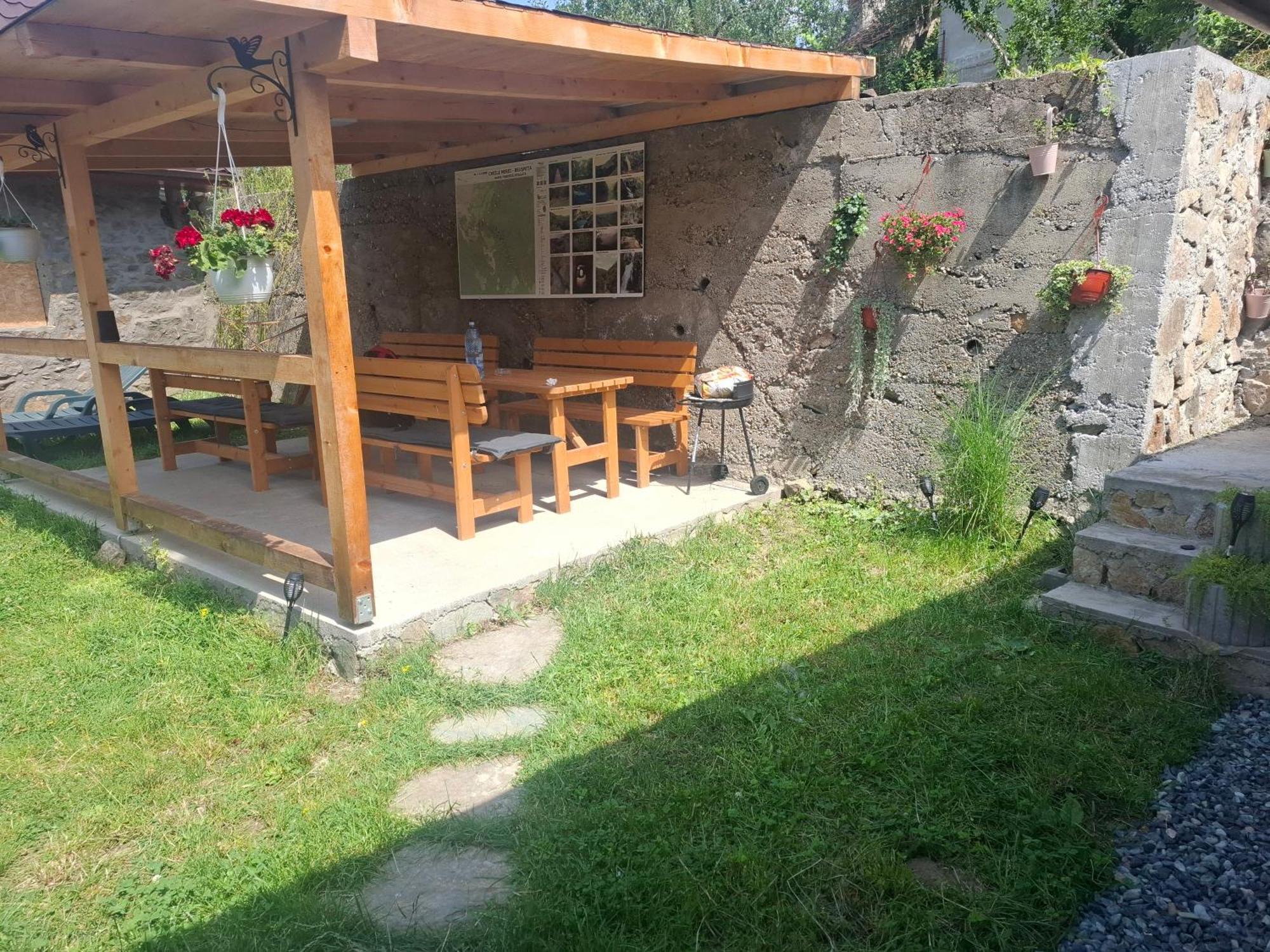Casa Noua Villa Sasca Montana Exterior photo